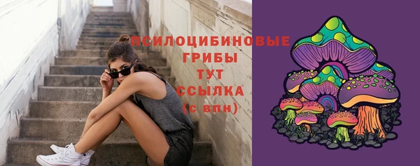 гидра Алексин