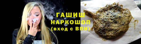 индика Абаза