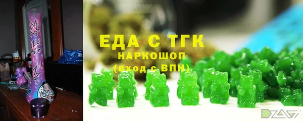 индика Абаза
