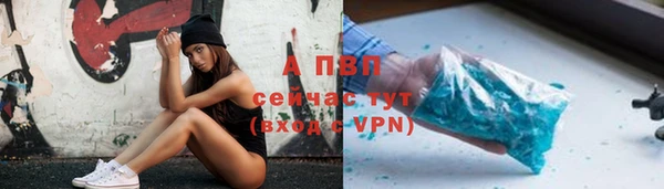 индика Абаза