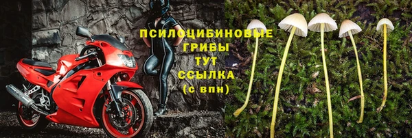 дмт Абинск