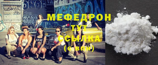 индика Абаза