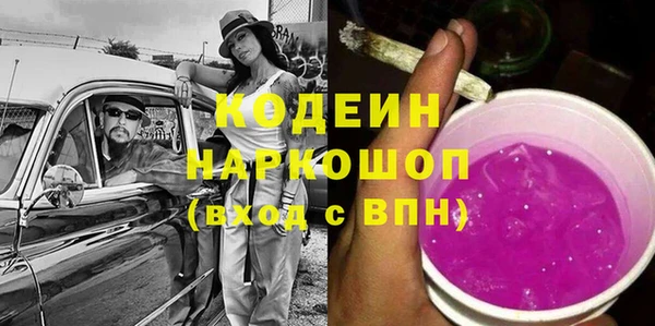 индика Абаза