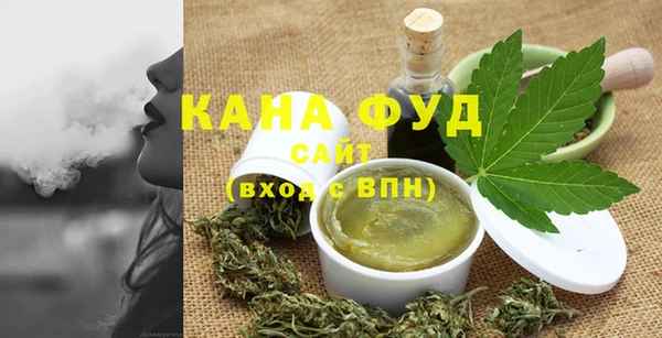 индика Абаза