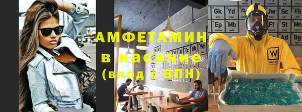 прущие грибы Алзамай