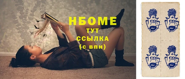 индика Абаза