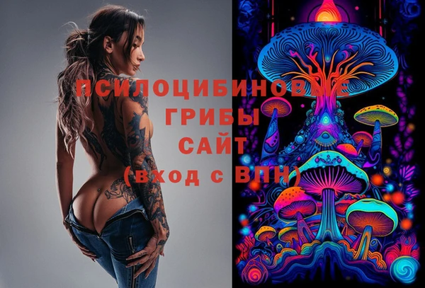 гидра Алексин