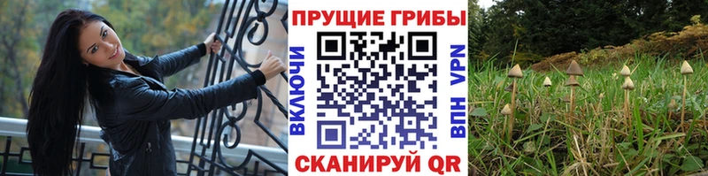 Псилоцибиновые грибы Magic Shrooms  кракен   Батайск 